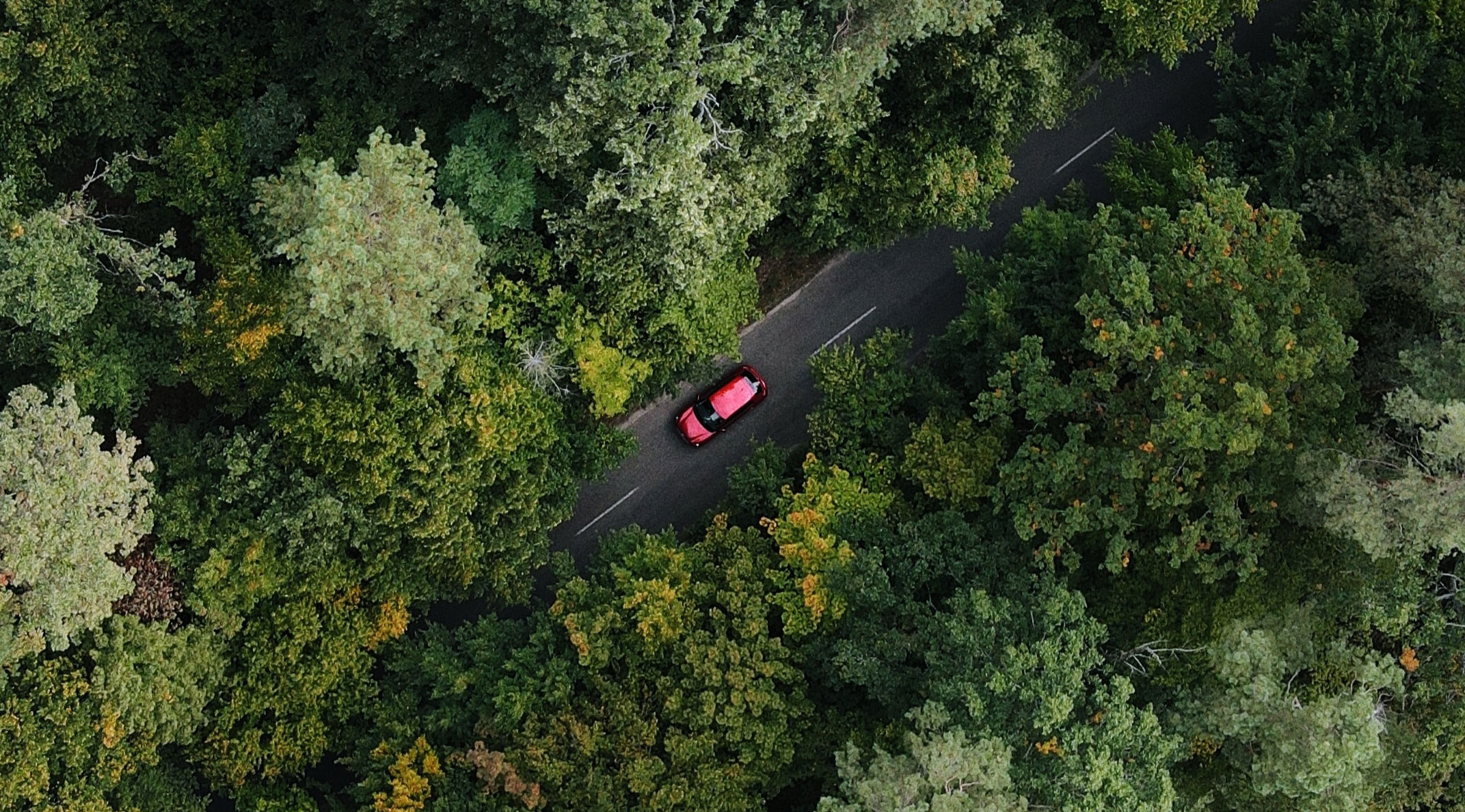 Moving car into forest. Sustainable PP compounds. THERMOFIL CIRCLE Into the car.